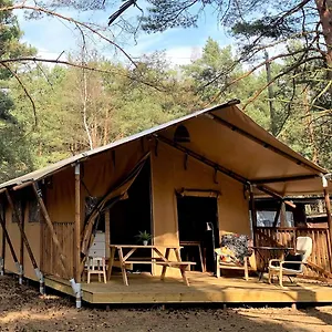 Camping Camp Bursztynowy, Gdańsk